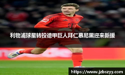 熊猫体育官网
